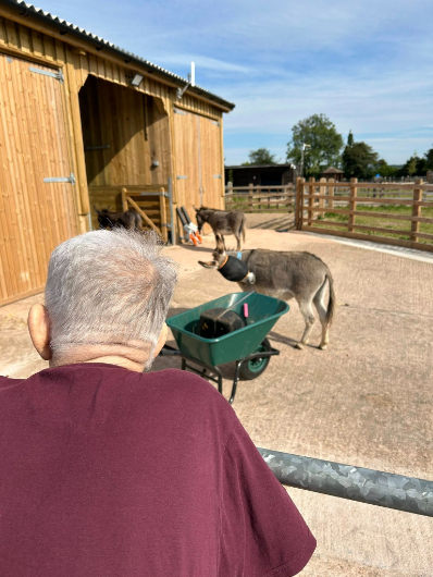 Resident watching donkey at the donkey sanctuary